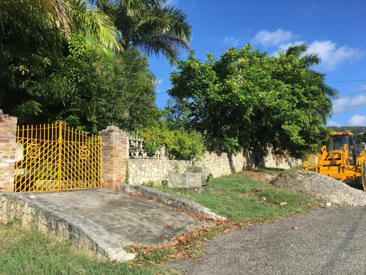 African Symbol Guest House Montego Bay Exterior foto